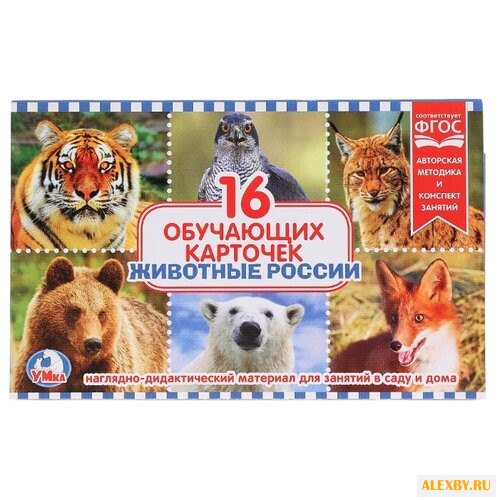Набор карточек Умка Животные