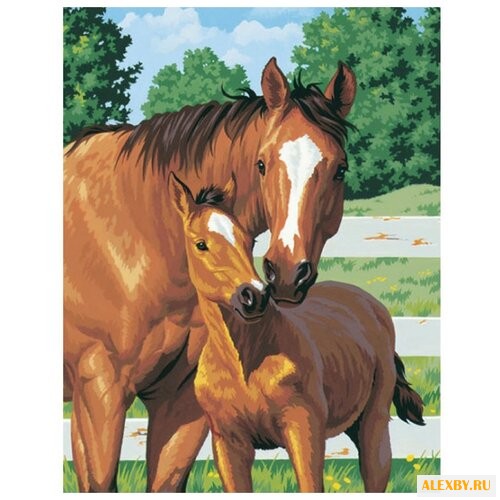 Dimensions Картина по номерам