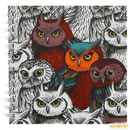 Скетчбук Канц-Эксмо Филины