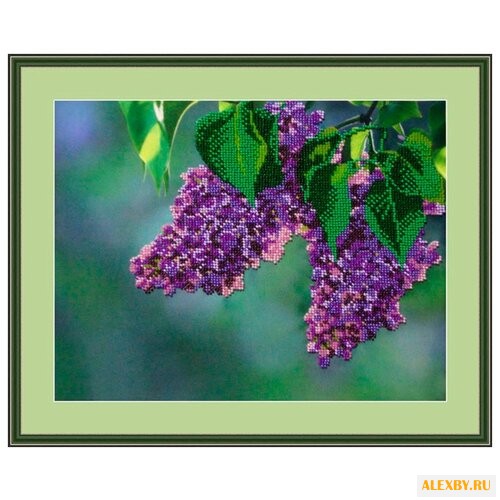 Galla Collection Набор для