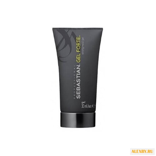 SEBASTIAN Professional