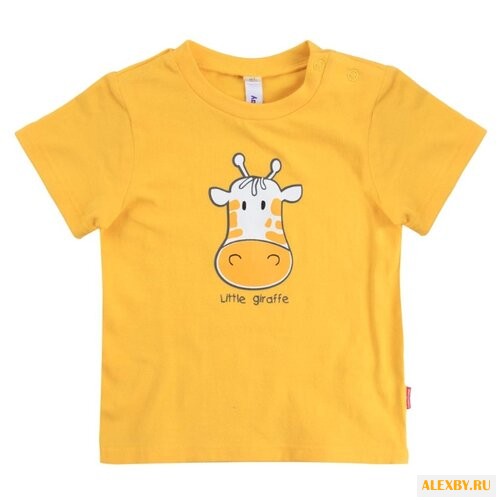 Футболка playToday