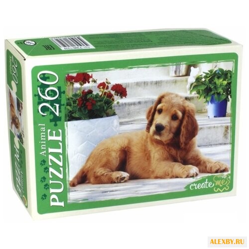 Пазл Рыжий кот Красивый щенок