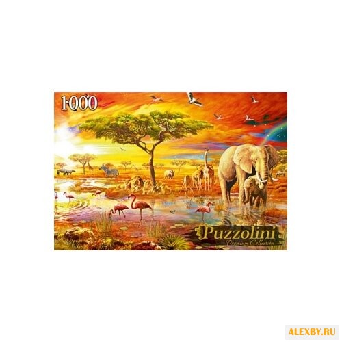 Пазл Рыжий кот Puzzolini Адриан