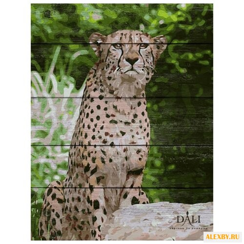 DALI Картина по номерам Гепард