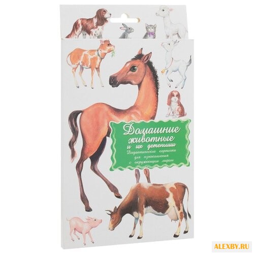 Набор карточек Маленький гений