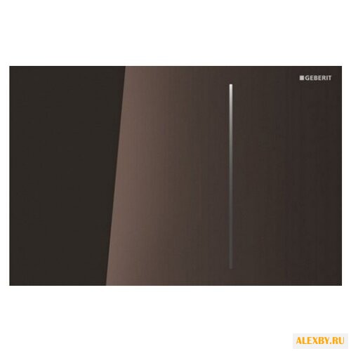 Кнопка смыва GEBERIT
