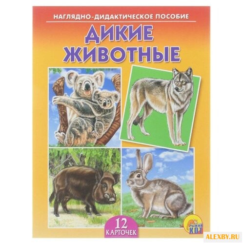 Набор карточек Рыжий кот Дикие