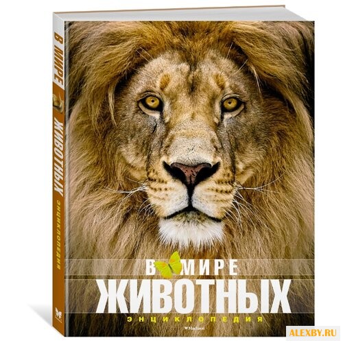 В мире животных