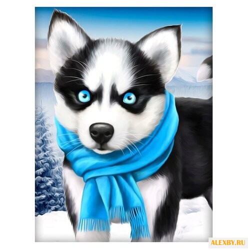 Алмазная живопись Набор