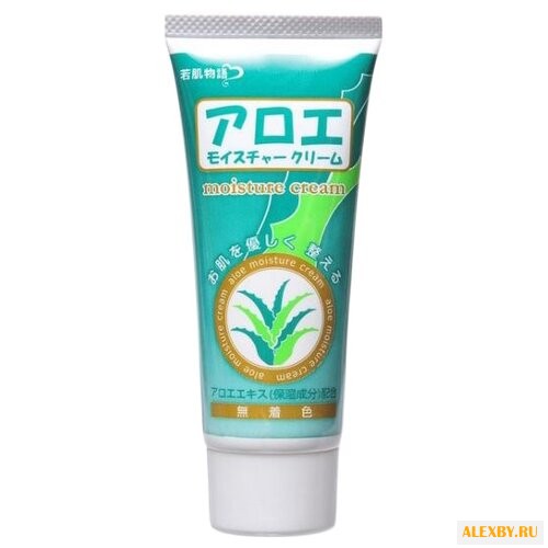 Salad Town Wakahada Monogatari