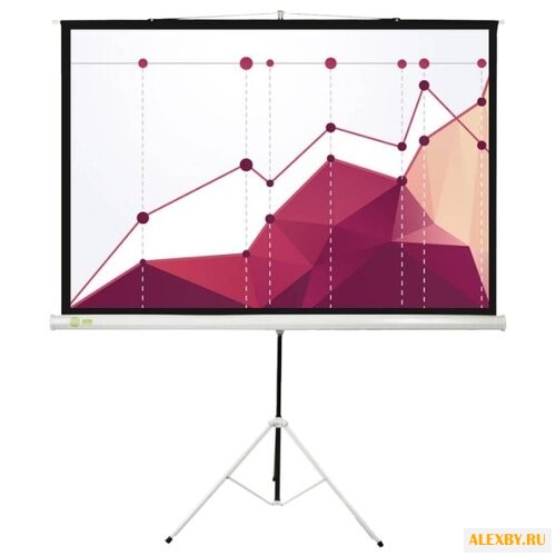 Рулонный матовый белый экран