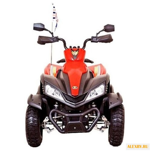 Dongma Квадроцикл ATV Brushless