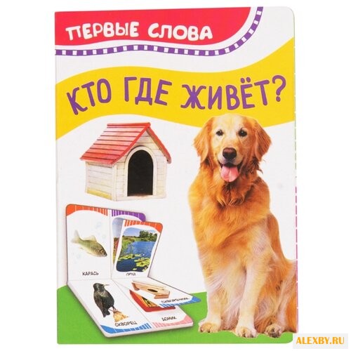 Котятова Н.И. Первые слова. Кто