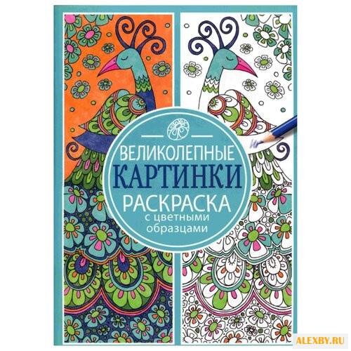 Стрекоза Раскраска с цветными