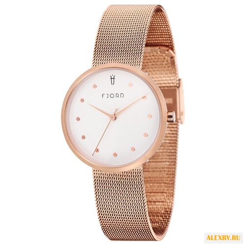 Наручные часы FJORD FJ-6035-55
