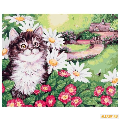 Белоснежка Картина по номерам