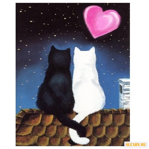 Алмазная живопись Набор