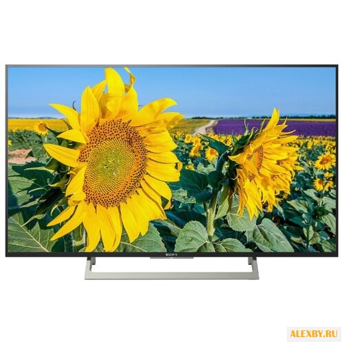Телевизор Sony KD-43XF8096