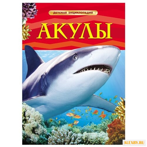 Шейх-Миллер Д. Детская