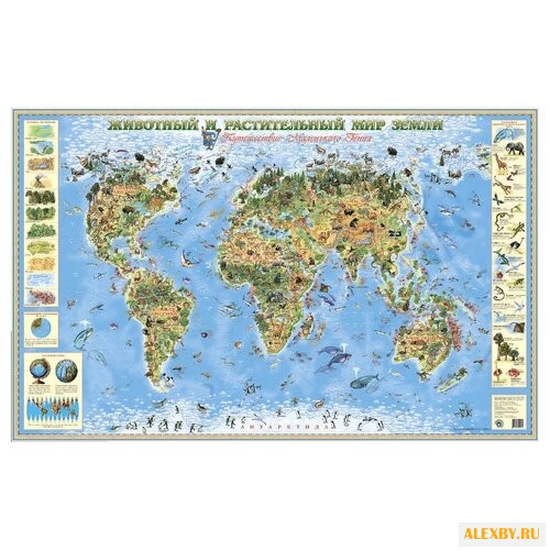 Маленький гений Карта Животный