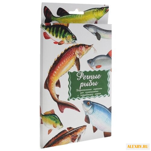 Набор карточек Маленький гений