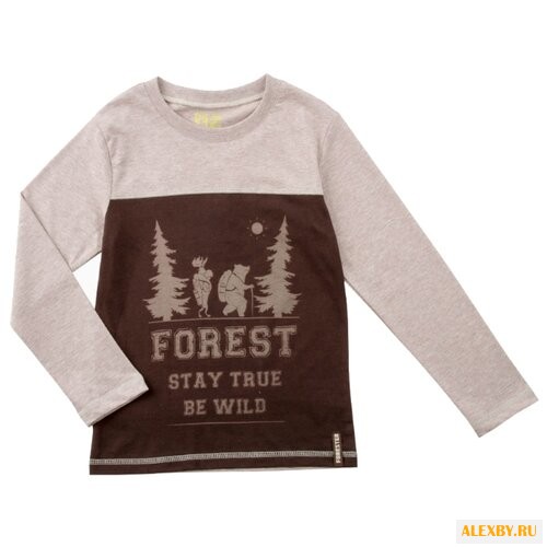 Лонгслив Free Age