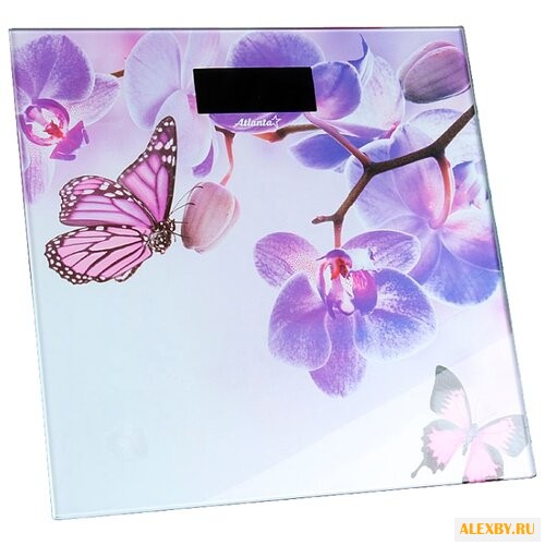 Весы Atlanta ATH-6130 VT