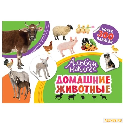 РОСМЭН Альбом наклеек Домашние