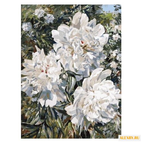 Белоснежка Картина по номерам