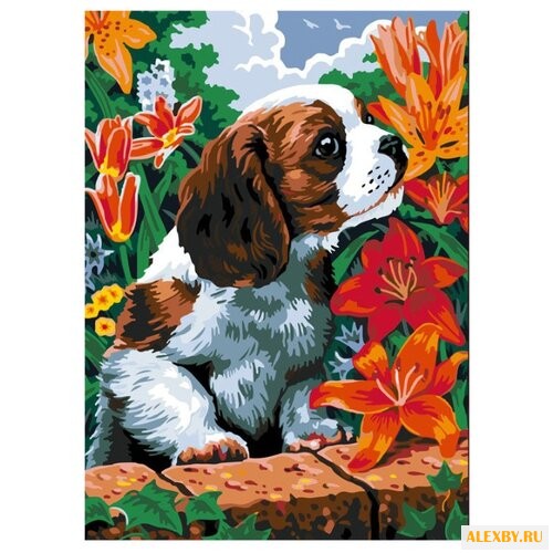 Color Kit Картина по номерам