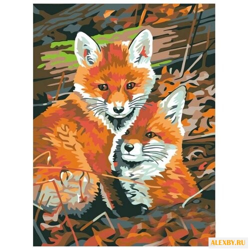 Dimensions Картина по номерам