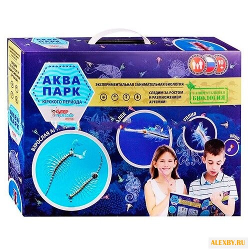 Набор Qiddycome Аквапарк