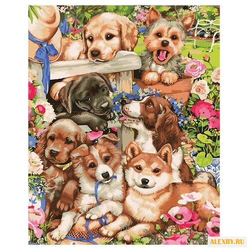 Hobbart Картина по номерам