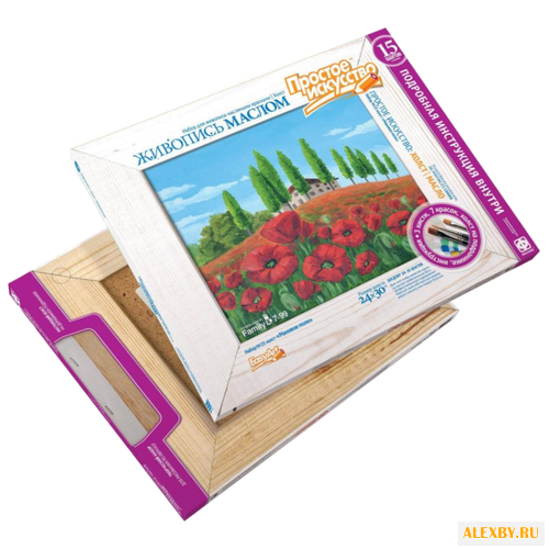 EasyArt Картина по контурам