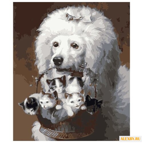 Color Kit Картина по номерам