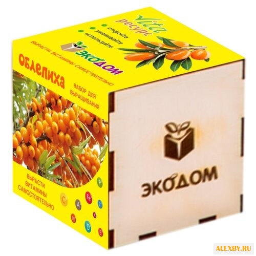 Набор Эко Клуб Vita Ресурс