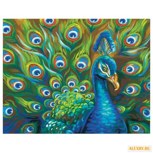 Dimensions Картина по номерам