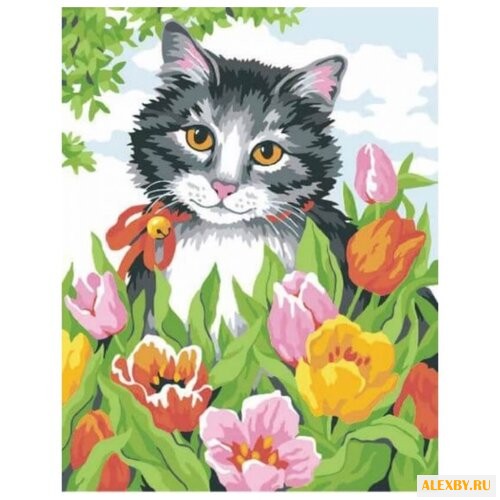 Color Kit Картина по номерам