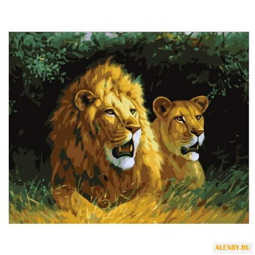 Color Kit Картина по номерам