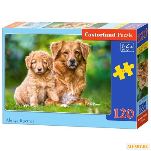 Пазл Castorland Always Together