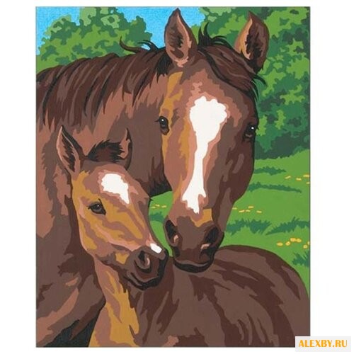 Dimensions Картина по номерам