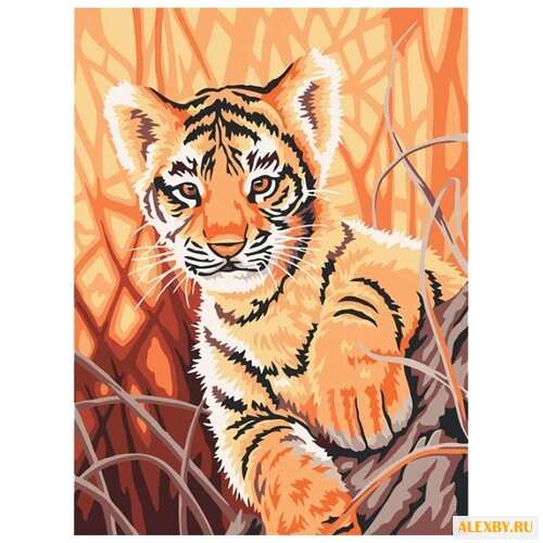 Dimensions Картина по номерам