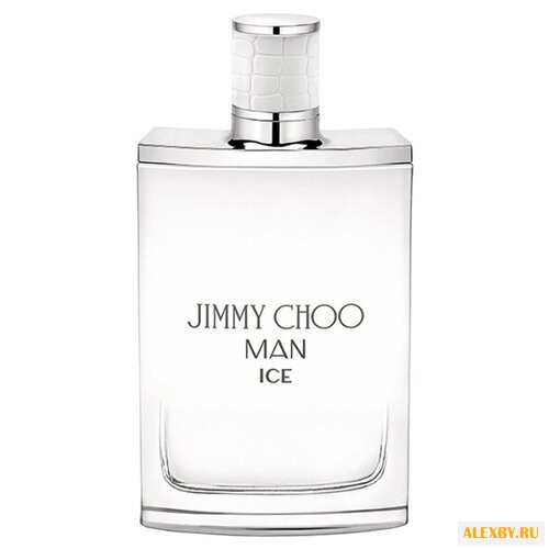 Jimmy Choo Man Ice