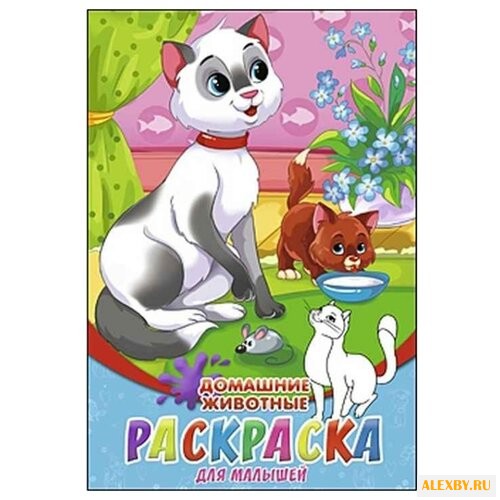 Рыжий кот Раскраски А5.