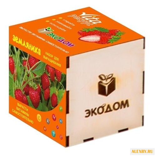 Набор Эко Клуб Vita Ресурс