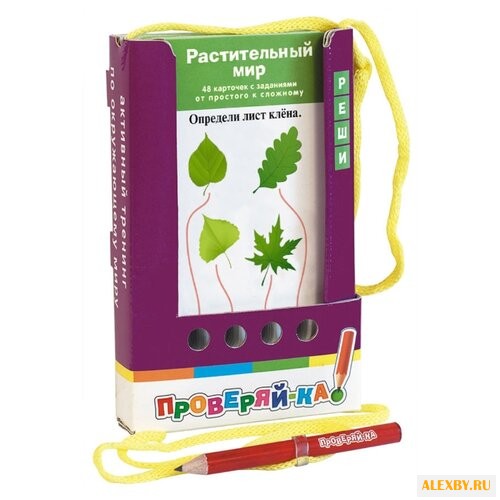 Набор карточек Айрис-Пресс