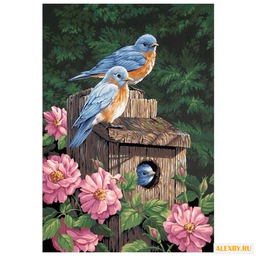 Dimensions Картина по номерам