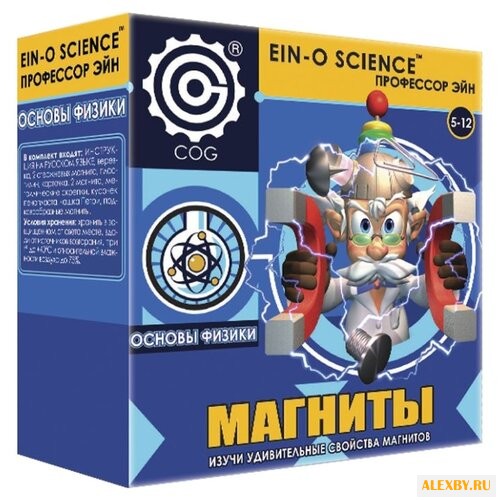 Набор Профессор Эйн Магниты