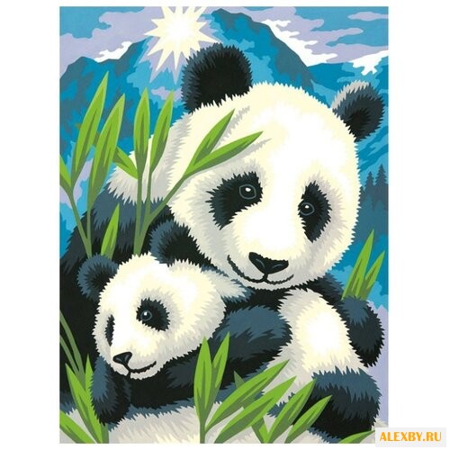 Dimensions Картина по номерам